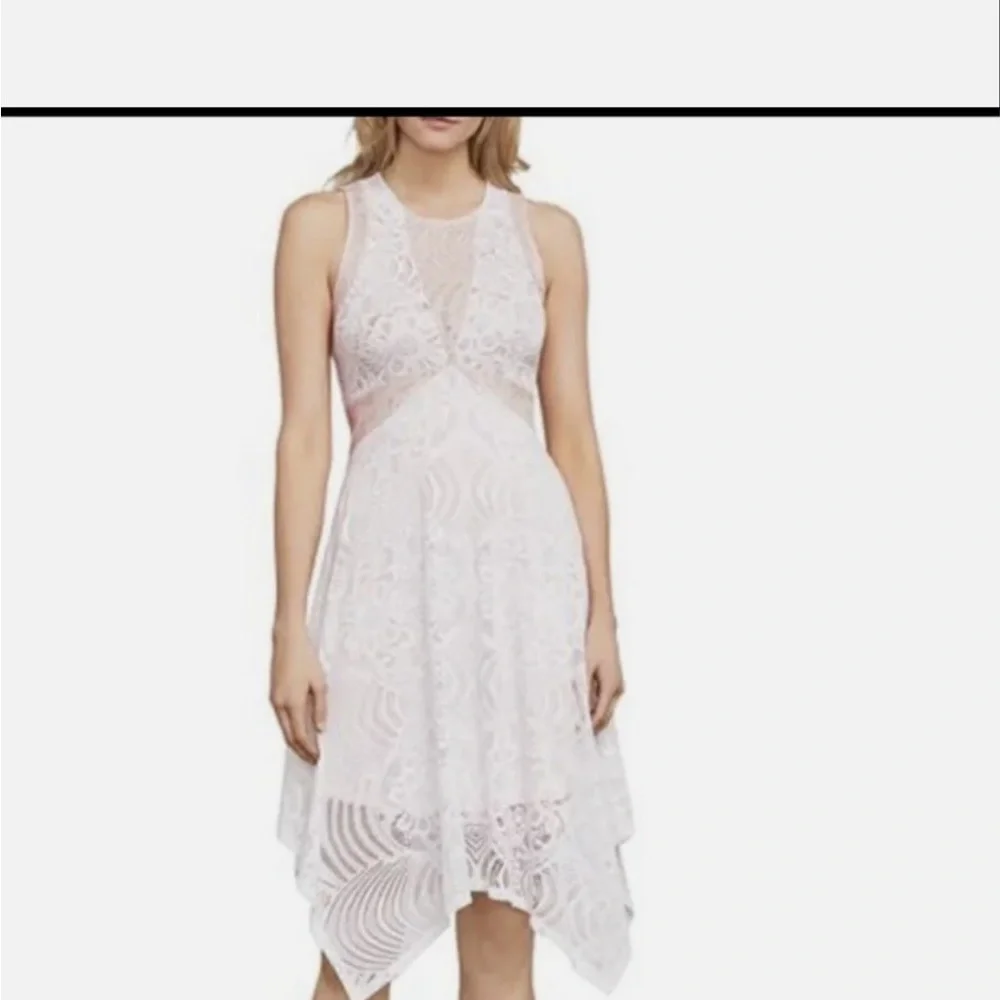 BCBGMAXAZRIA “Meilani” Lace Dress XXS NWT Blush Pink/White High-Low - Picture 11 of 11